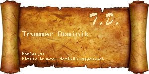 Trummer Dominik névjegykártya